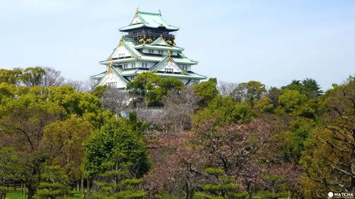 Beauty of Osaka