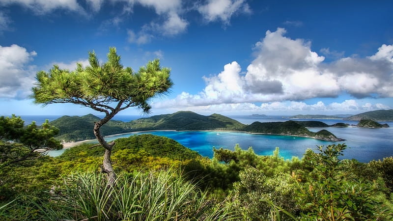 Okinawa Of Japan