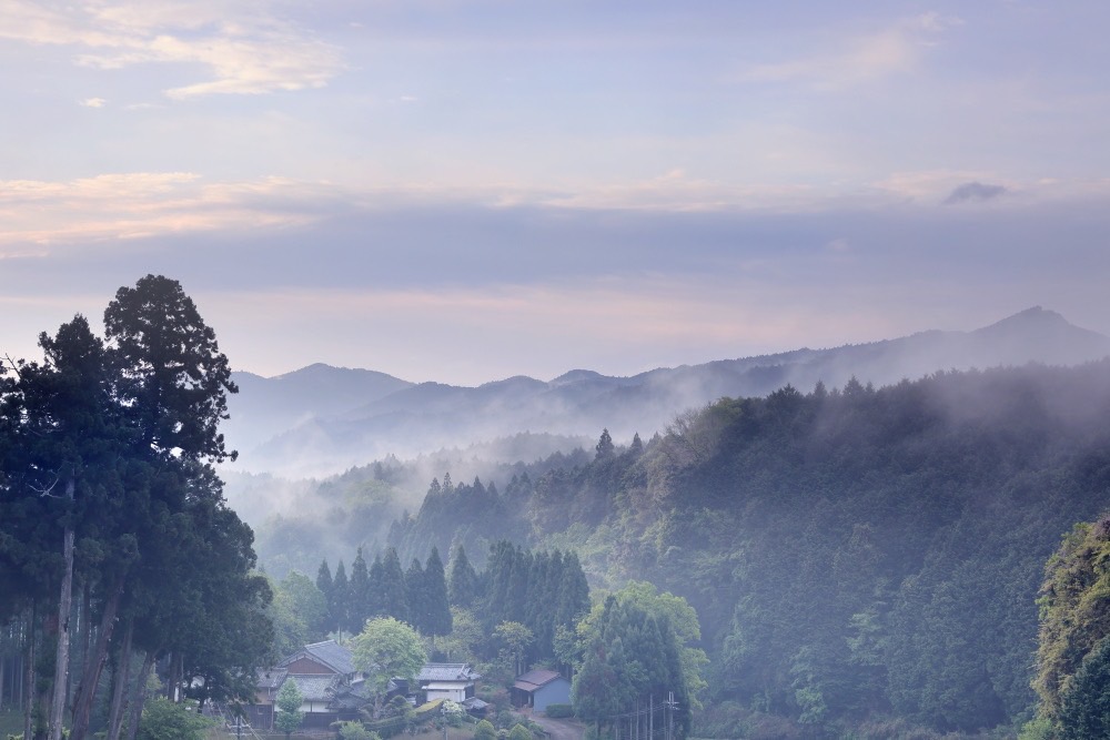 Beauti Of Nara , Japan