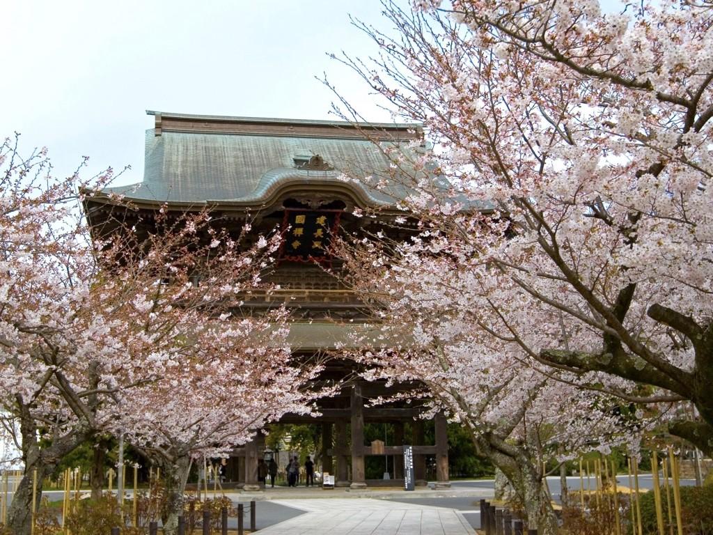Kamakura, Japan
